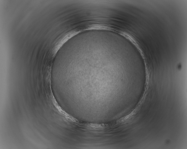 X0000116101049200912071255