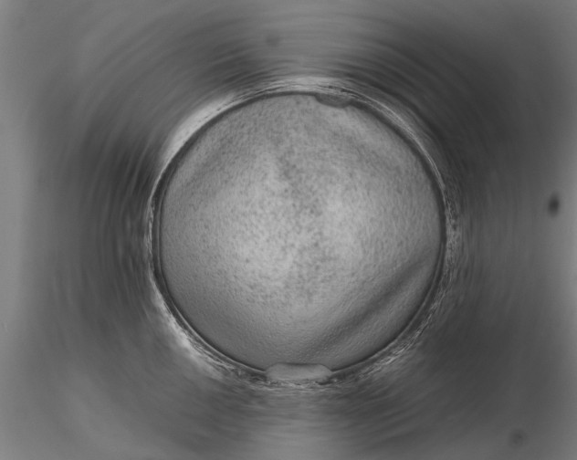 X0000116101050200912071255