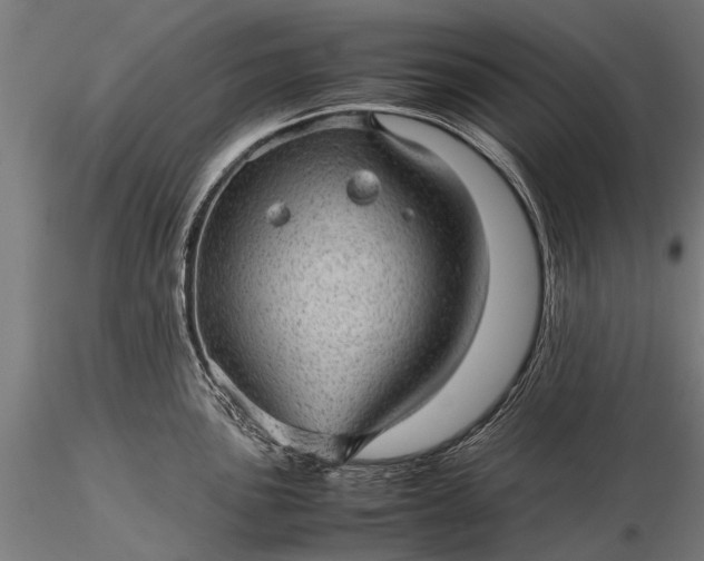 X0000116101051200912071255