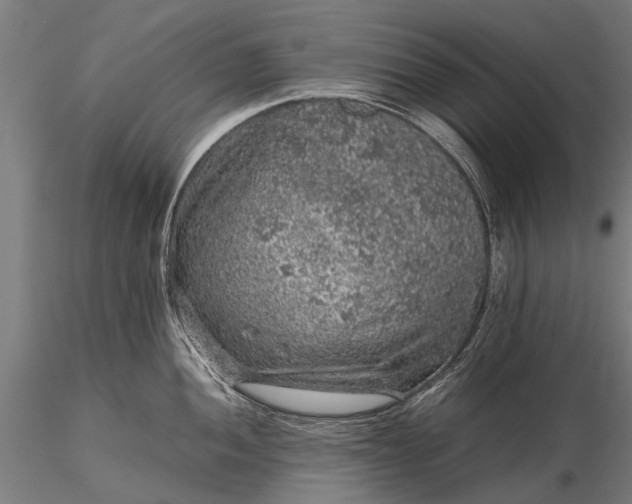 X0000116101052200912071255