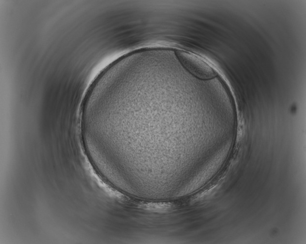 X0000116101053200912071255