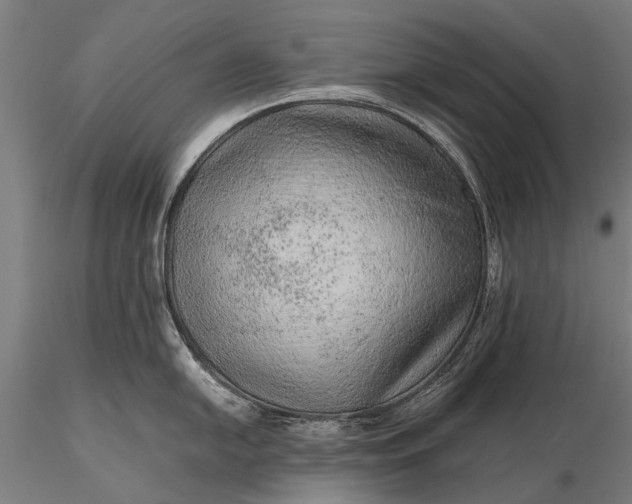 X0000116101054200912071255