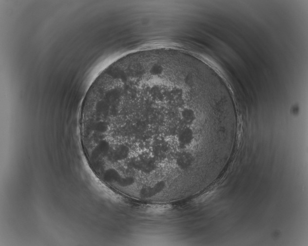 X0000116101055200912071255