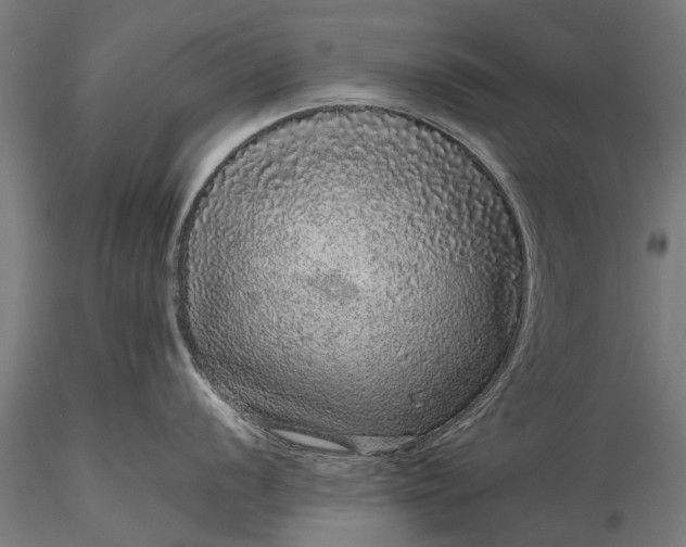 X0000116101056200912071255