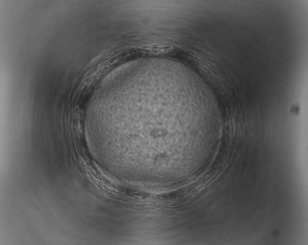 X0000116101058200912071254