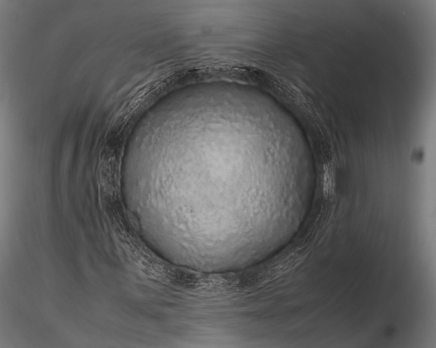 X0000116101059200912071254