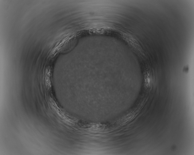 X0000116101060200912071254