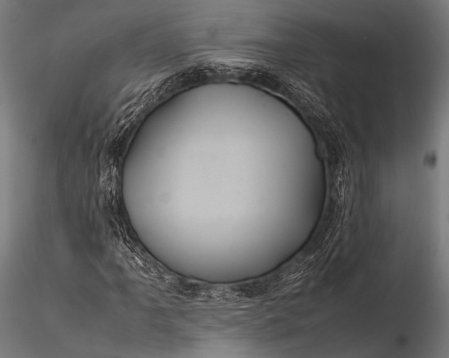 X0000116101061200912071254