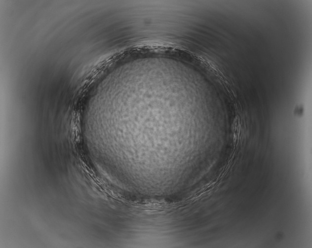 X0000116101062200912071254