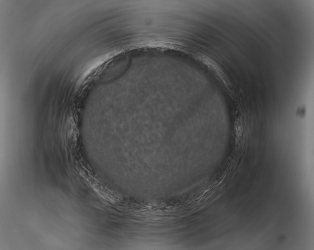 X0000116101064200912071254