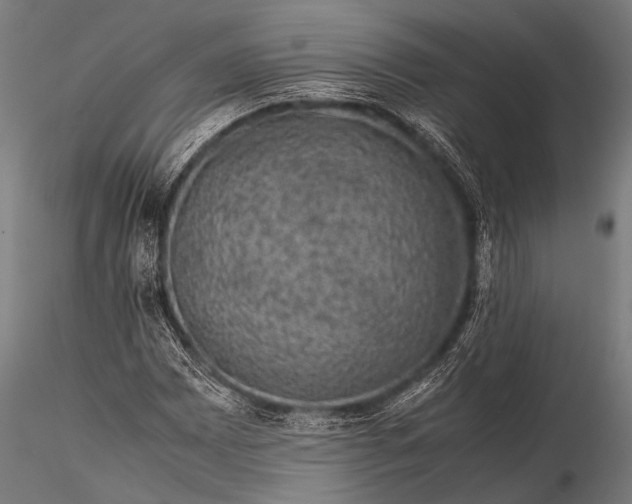 X0000116101065200912071254