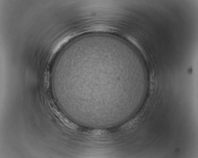 X0000116101067200912071254