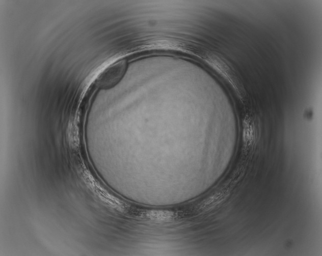 X0000116101068200912071254