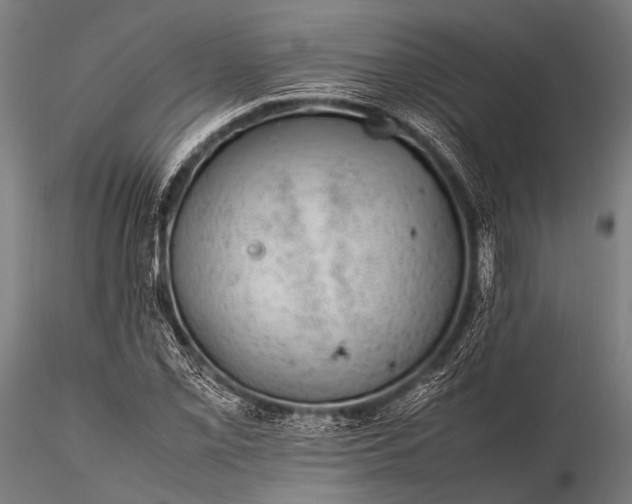 X0000116101069200912071254