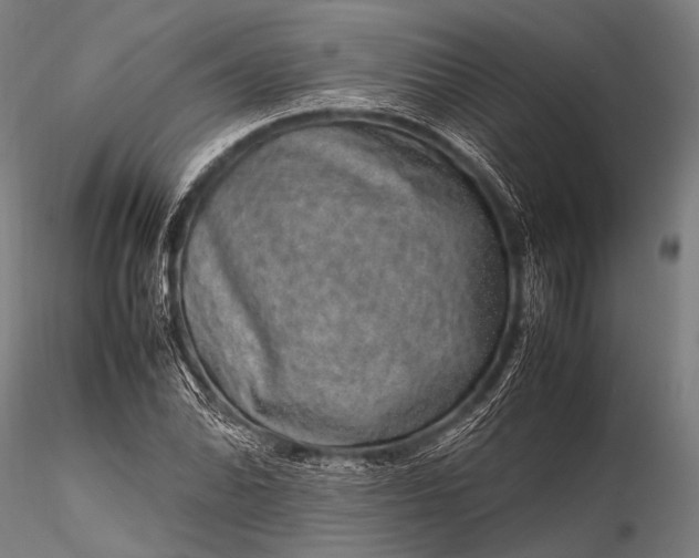 X0000116101070200912071254