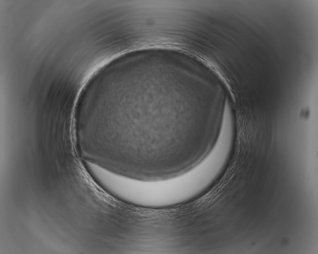 X0000116101072200912071254