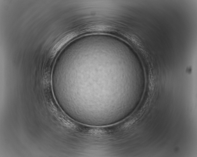 X0000116101073200912071254