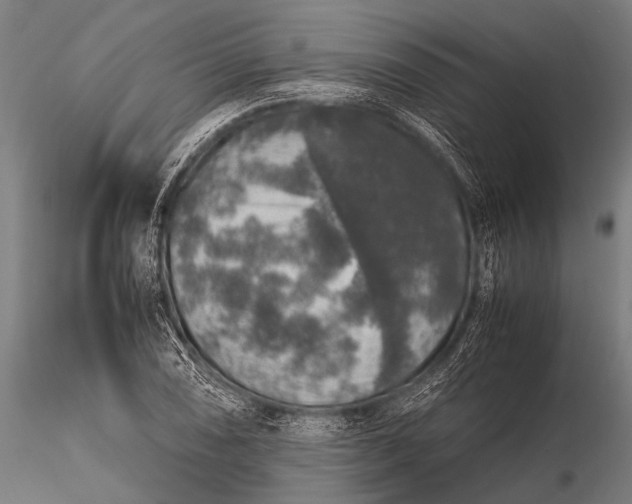 X0000116101074200912071254