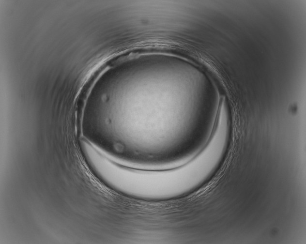 X0000116101075200912071254