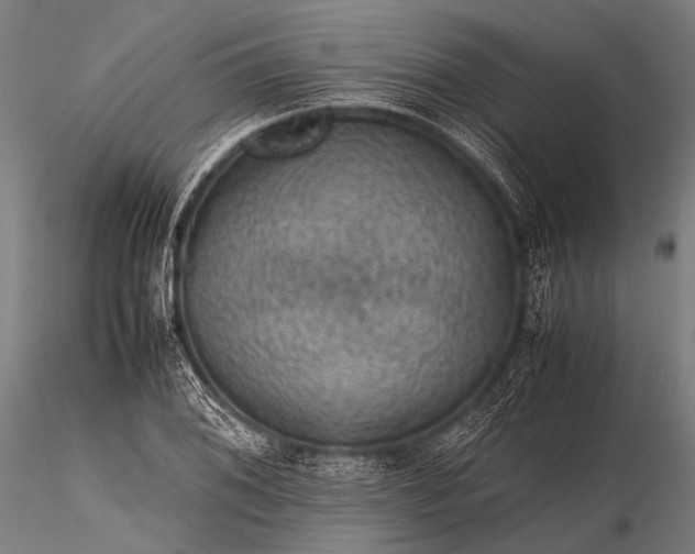 X0000116101076200912071254