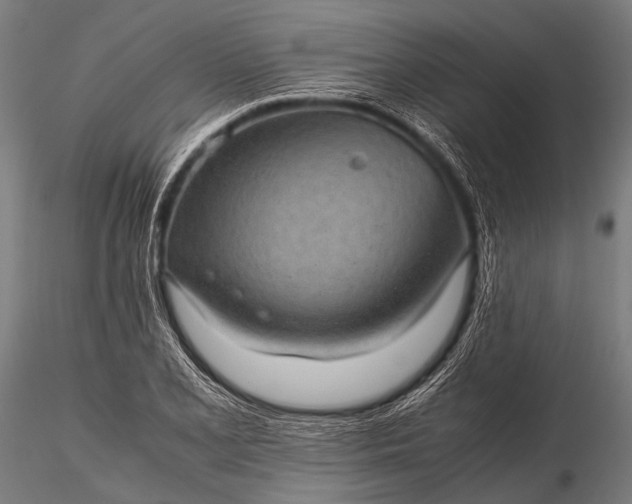 X0000116101077200912071254