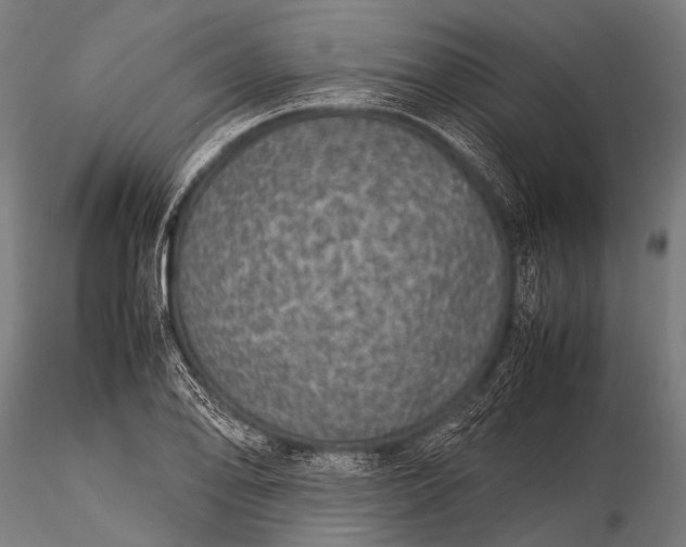 X0000116101078200912071254