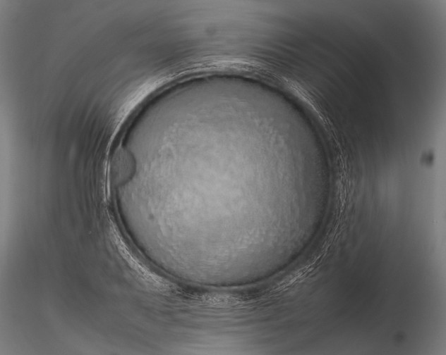 X0000116101079200912071254