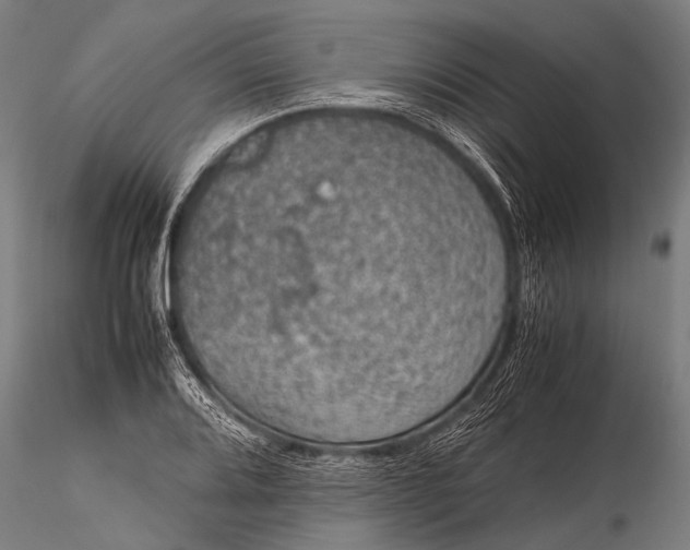 X0000116101080200912071254