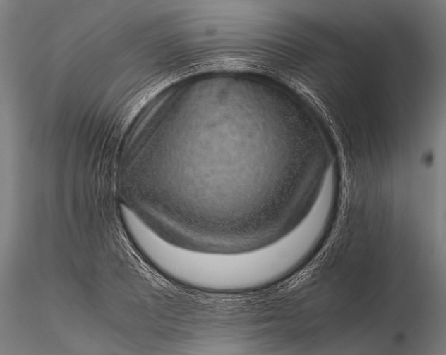 X0000116101081200912071254