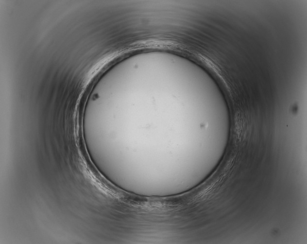 X0000116101082200912071254