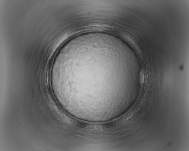 X0000116101083200912071254