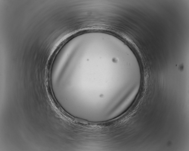 X0000116101085200912071254