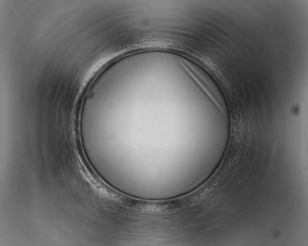 X0000116101086200912071254