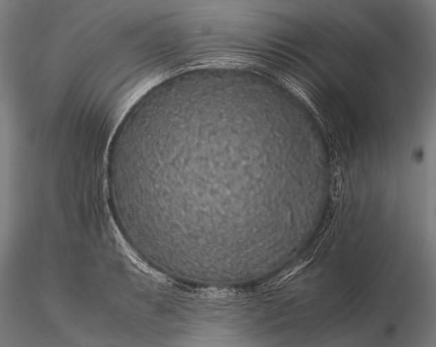 X0000116101087200912071254