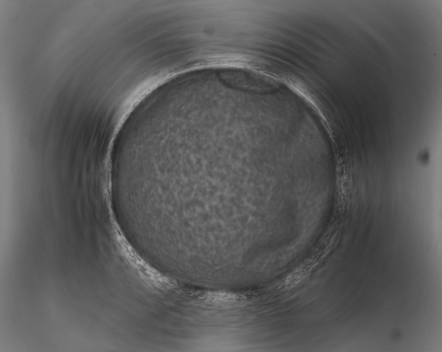 X0000116101088200912071254