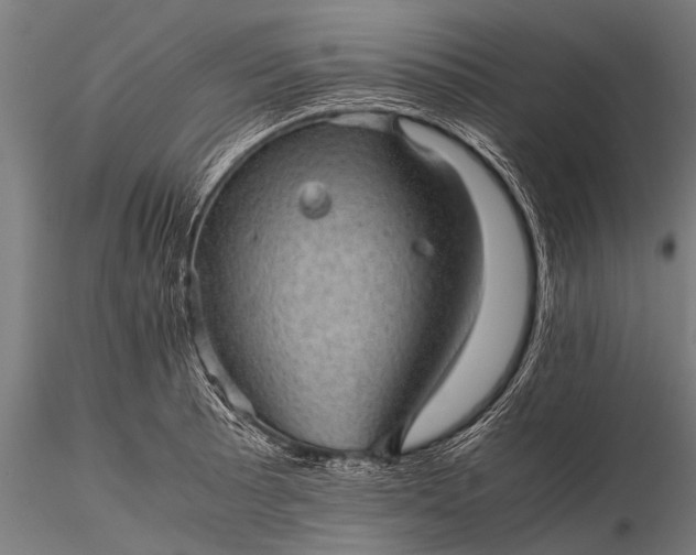 X0000116101089200912071254