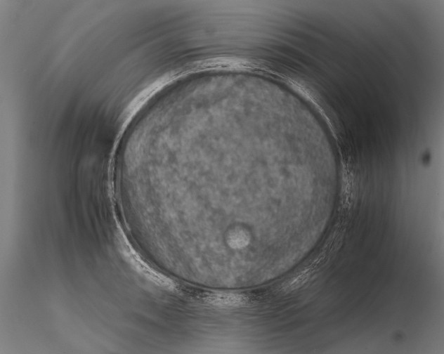 X0000116101090200912071254