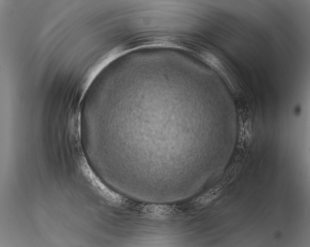 X0000116101092200912071254