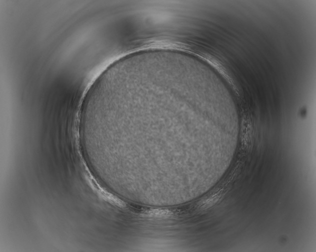 X0000116101094200912071254