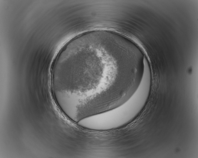 X0000116101096200912071254