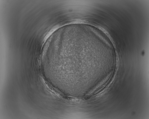 X0000116101097200912071254