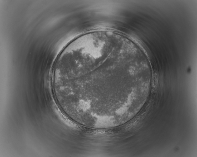 X0000116101098200912071254