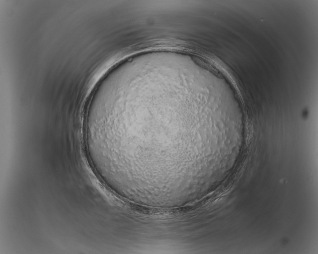 X0000116101099200912071254