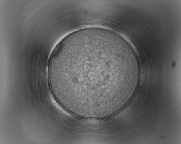 X0000116101100200912071254