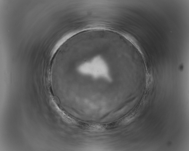 X0000116101101200912071254