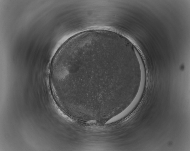 X0000116101102200912071254