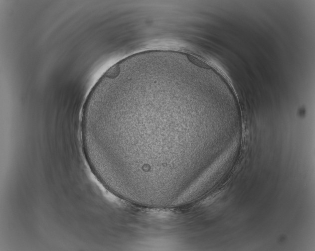 X0000116101103200912071254