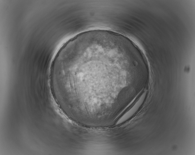 X0000116101104200912071254