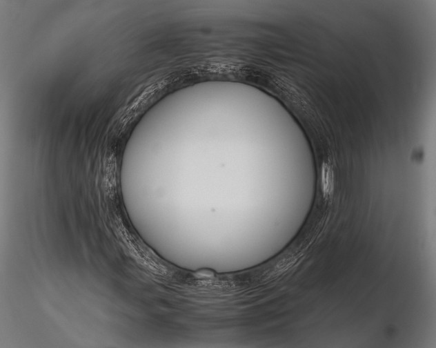 X0000116101107200912071253