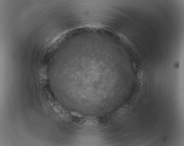 X0000116101110200912071253